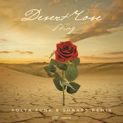 Sting - Desert Rose (Kolya Funk & Shnaps Remix)