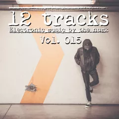 12 Tracks Vol.015