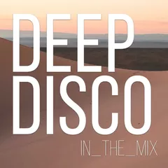 Deep Disco Records #117