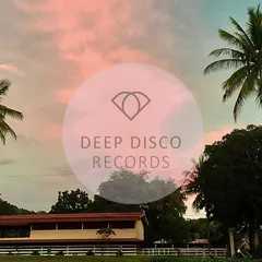 Deep Disco Vibes #27