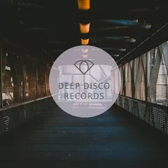 Deep Disco Vibes #29