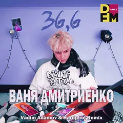 Ваня Дмитриенко - 36,6 (Vadim Adamov & Hardphol Remix)