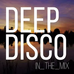 Deep Disco Records #119