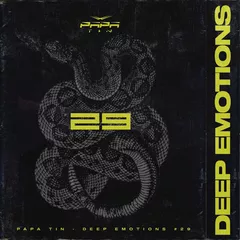 DEEP EMOTIONS 29