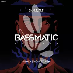 BSM041