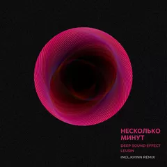 Deep Sound Effect feat. Leusin - Несколько минут