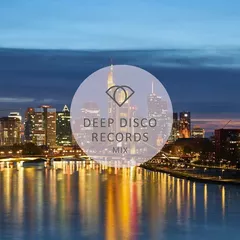 Deep Disco Vibes #36