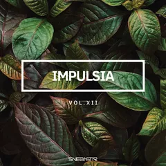 Impulsia Mix vol.12 (2021)