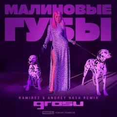 Grosu - Малиновые губы (Ramirez & Andrey Nash Remix)