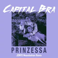 Capital Bra - Prinzessa (JONVS Moombahton Remix)