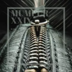 MuMPuR XXIX