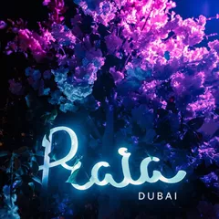 Live From Praia Dubai (pt. 1)