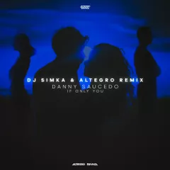 Danny Saucedo - If Only You  (DJ SIMKA & Altegro Radio Remix )