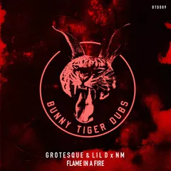 Grotesque & Lil D x NM - Flame In A Fire