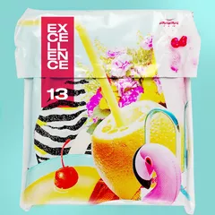 EXCELLENCE MIX 13