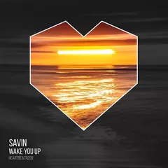 Wake You Up 