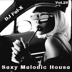 Sexy Melodic House Vol.29 Mix DJ Fel-X