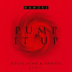 Danzel - Pump It Up (Kolya Funk & Shnaps Remix)