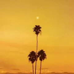 Live Recorded at Venice Beach, CA [Sunset Session]