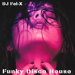 Funky Disco House Mix DJ Fel-X