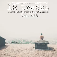 12 Tracks Vol. 018