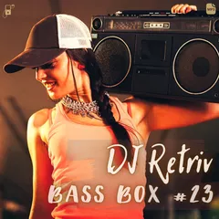 Bass Box #23