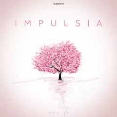 Impulsia vol.16 (2022)