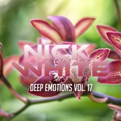 Deep Emotions vol.17
