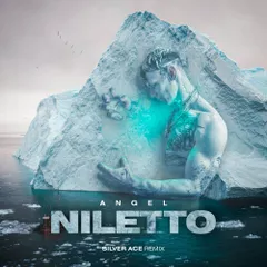 NILETTO - Angels  ( Silver Ace Remix )