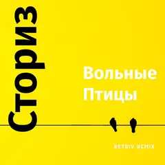 Сториз - Вольные птицы (Retriv Remix)