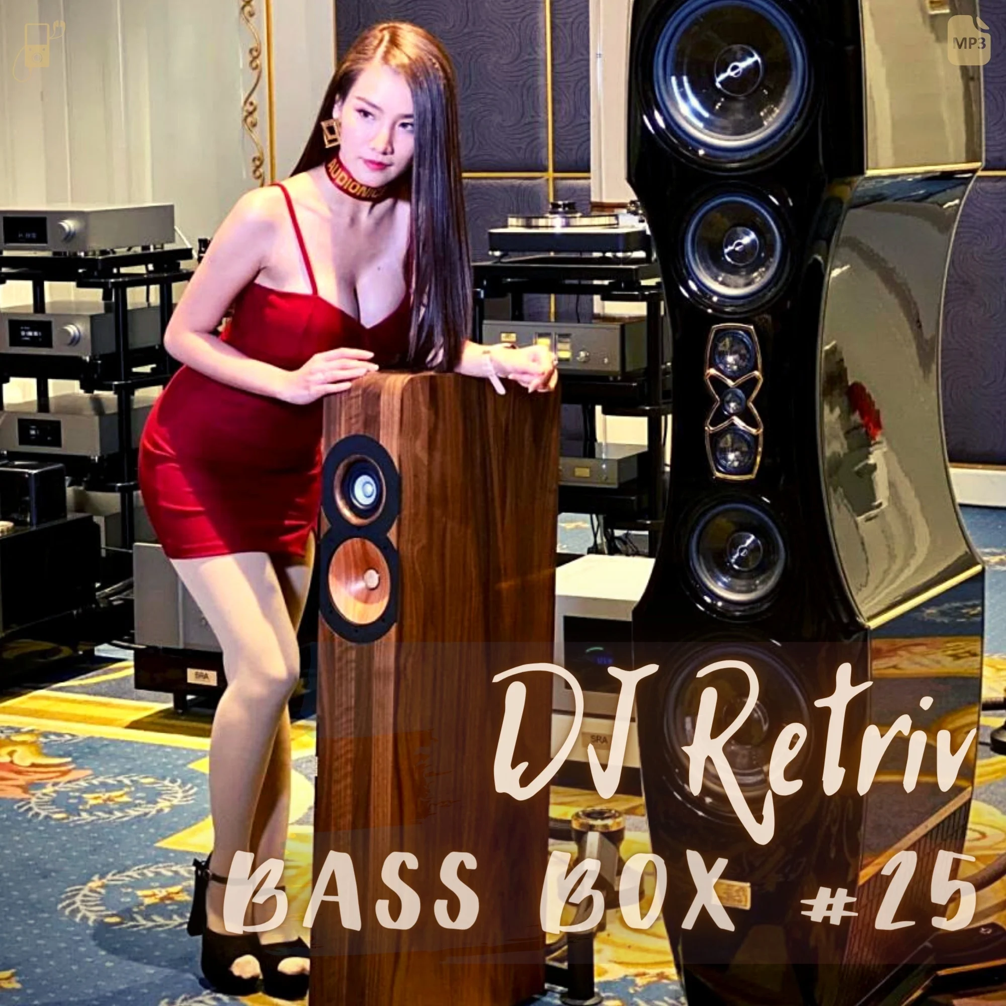 Bass Box #25