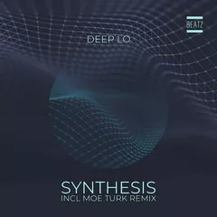 Deep Lo - Synthesis (Moe Turk Remix)
