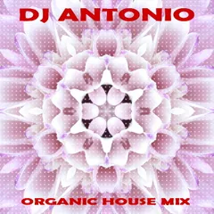 Organic House Mix