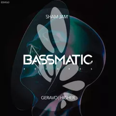 BSM060