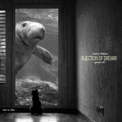 Injection of Dreams # 107