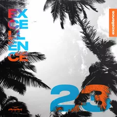 EXCELLENCE MIX 23