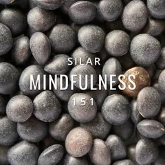 Mindfulness Episode 151
