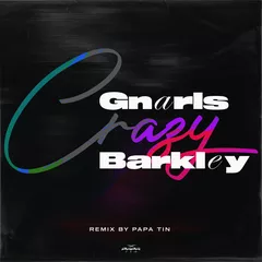 Gnarls Barkley - Crazy (Papa Tin Radio Edit)