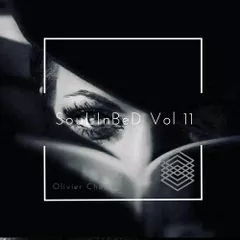 SouLInBeD Series Vol 11