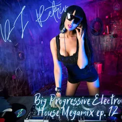 Big Progressive Electro House Megamix ep. 12