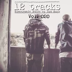 12 Tracks Vol. 020