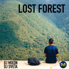 Lost Forest 2022