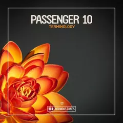 Terminology (Club Mix)