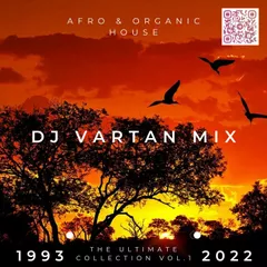 The Ultimate Collection vol.1