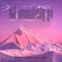 SHAUMAROV x DJ JEDY - Let Somebody Go