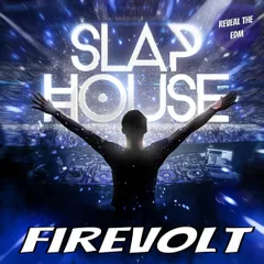 Slap House Mix (Reveal The EDM Sessions)
