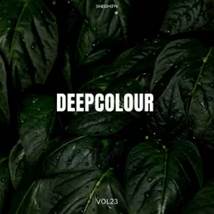 DeepColour Vol.23 (2022)
