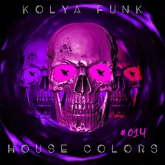 Kolya Funk - House Colors #014