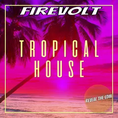 Tropical House Mix (Reveal The EDM Sessions)
