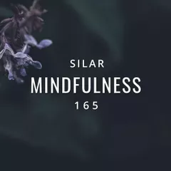 Mindfulness Episode 165
